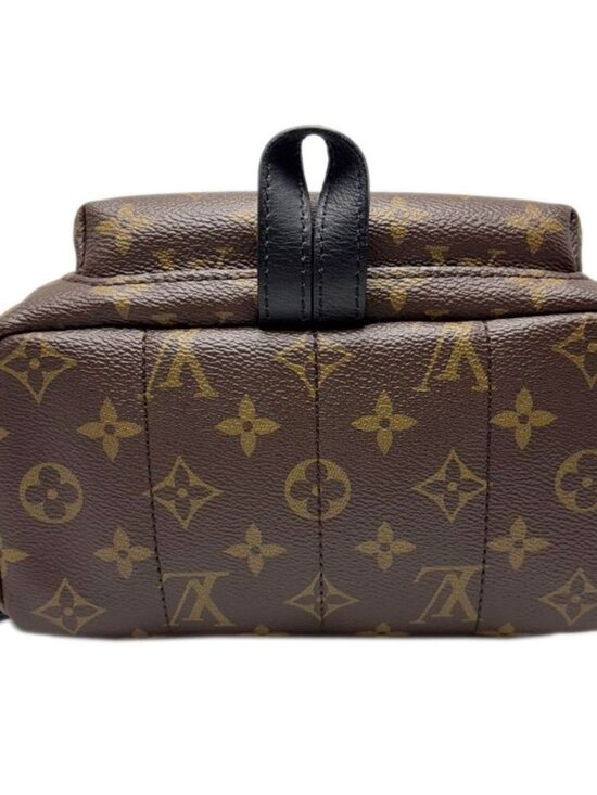 Louis Vuitton Backpack Monogram Palm Spring PM